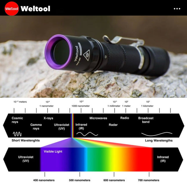 Weltool M2 - BF UV 365nm Professional Black Light LED Flashlight - Emergency Gear Backpack