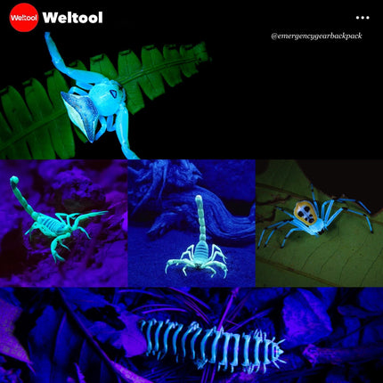 Weltool M4 - 365 Professional UV Flashlight - Emergency Gear Backpack