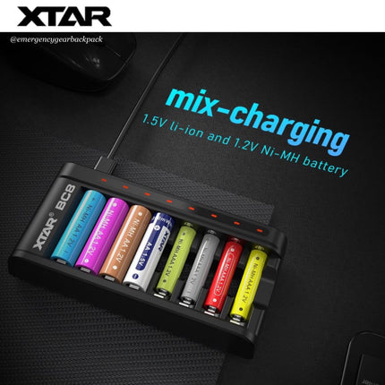 XTAR L8 1.5V&1.2V Battery Charger