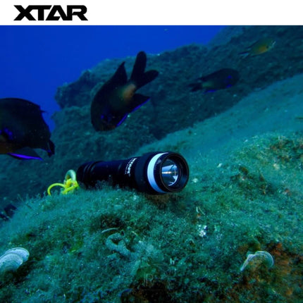 XTAR D20B 1000LMS 50M Diving Flashlight